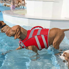 Dog Swim Vest