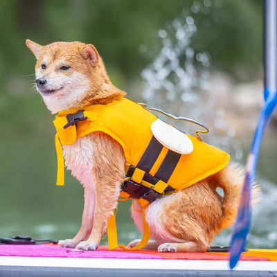 Cute Dog Life Jacket