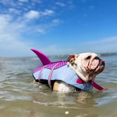 Dog Shark Life Jacket