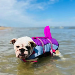 Dog Shark Life Jacket